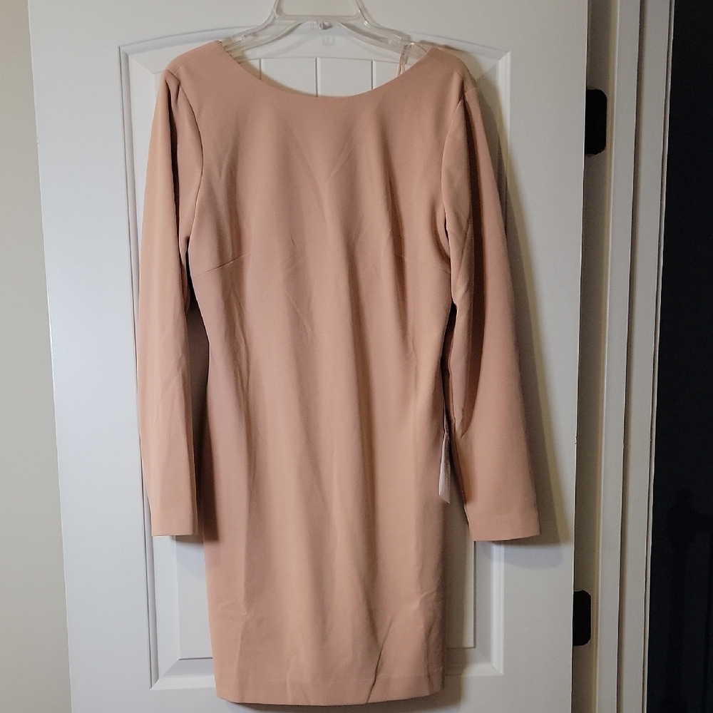 Dress the Population Long Sleeve Blush Dress